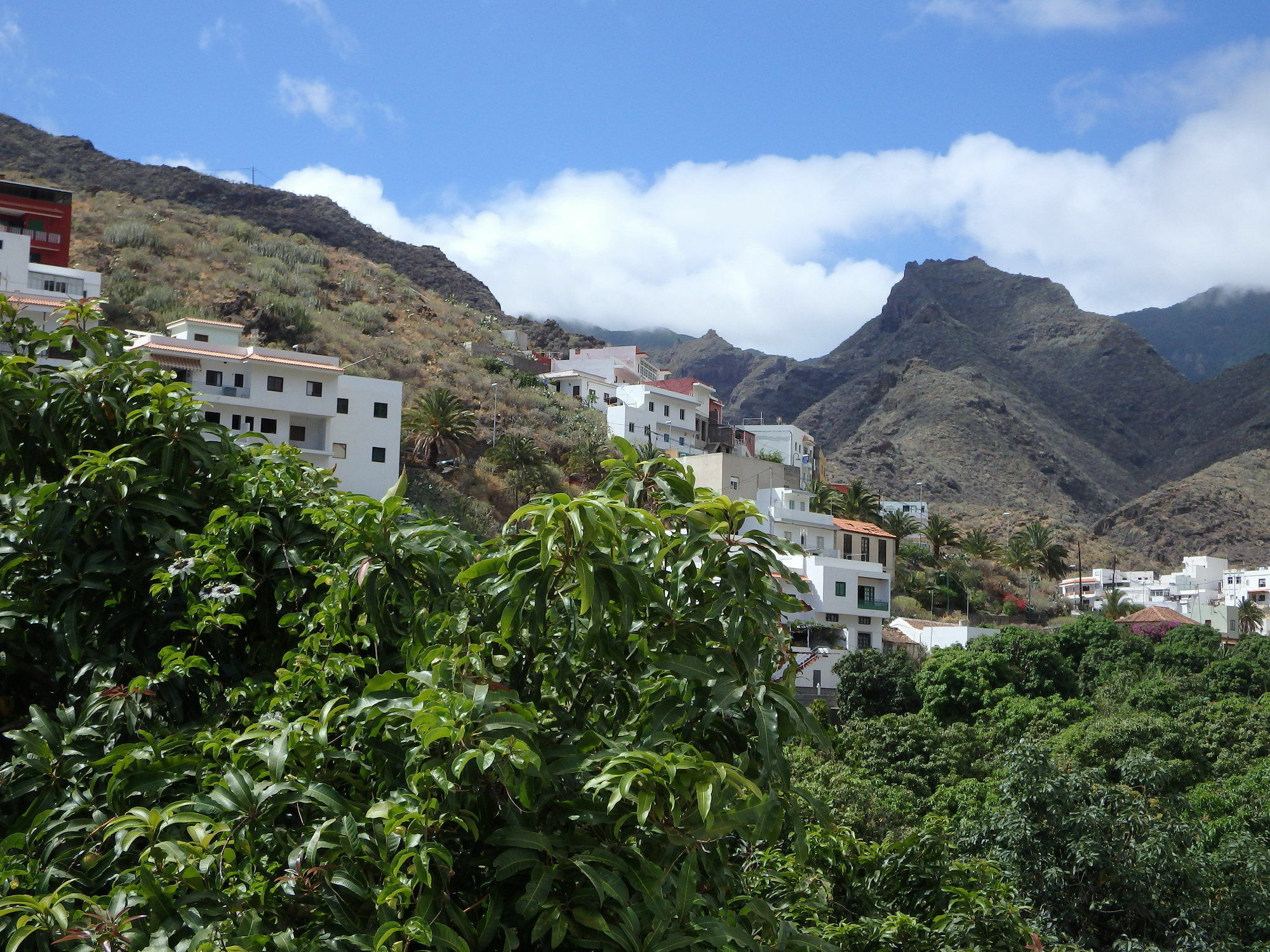 La Casa De Magda Villa Santa Cruz de Tenerife Eksteriør billede